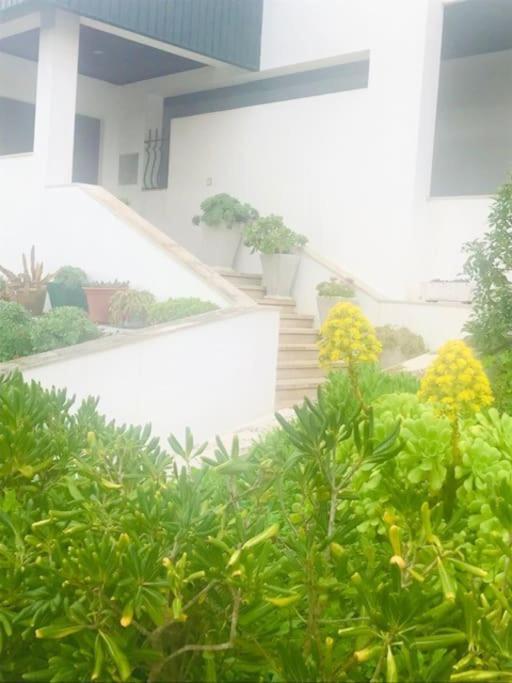 Casinha Do Mar Apartament