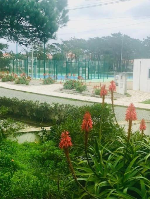 Casinha Do Mar Apartament Marinha Grande